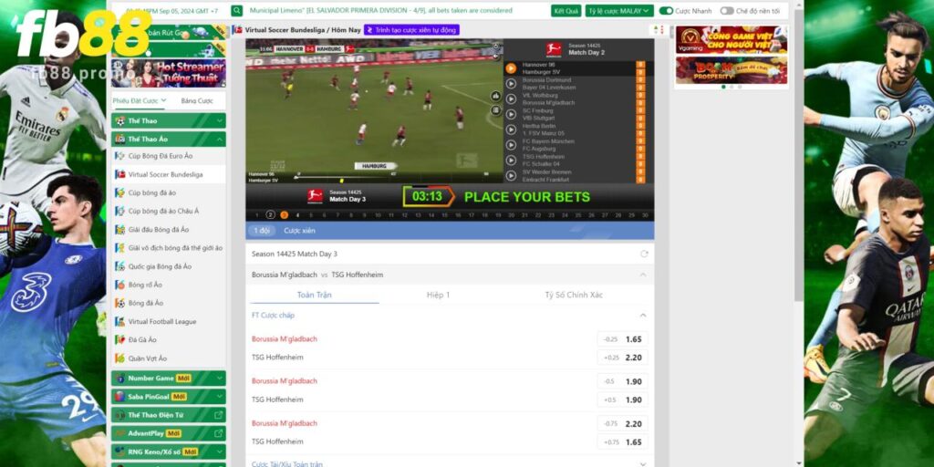 Giải pháp lý tưởng cho người hâm mộ thể thao